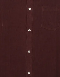 Chemise regular prune coton bio velours milleraies Homme