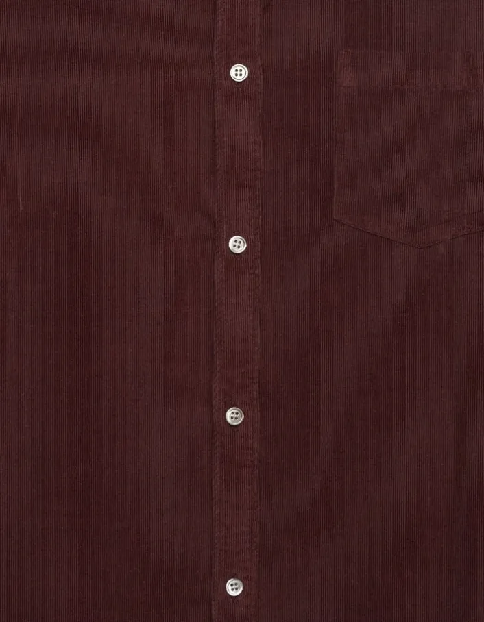 Chemise regular prune coton bio velours milleraies Homme