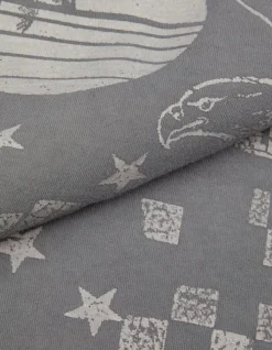 Tee-shirt oversize gris délavé visuel aigle Femme