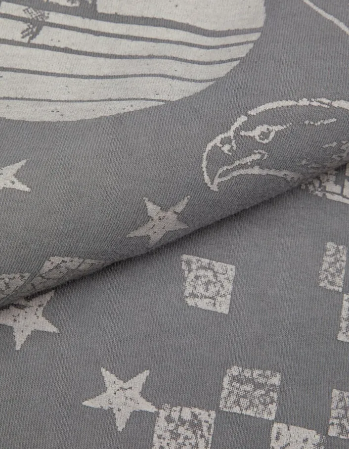 Tee-shirt oversize gris délavé visuel aigle Femme