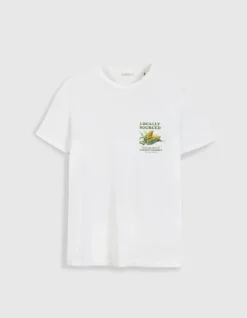 T-shirt manches courtes blanc visuels maïs Homme