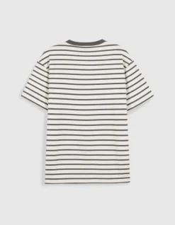 T-shirt manches courtes rayures grises Homme